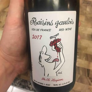 Domaine Marcel Lapierre - Mathieu & Camille Lapierre - Raisins Gaulois