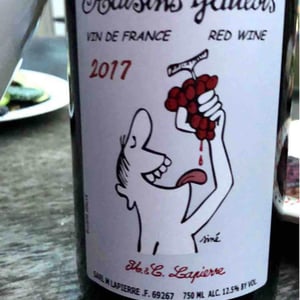Domaine Marcel Lapierre - Mathieu & Camille Lapierre - Raisins Gaulois
