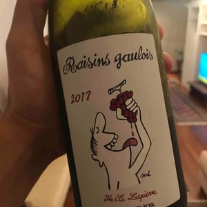 Domaine Marcel Lapierre - Mathieu & Camille Lapierre - Raisins Gaulois