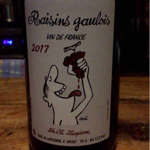 Domaine Marcel Lapierre - Mathieu & Camille Lapierre - Raisins Gaulois