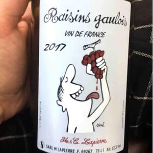 Domaine Marcel Lapierre - Mathieu & Camille Lapierre - Raisins Gaulois
