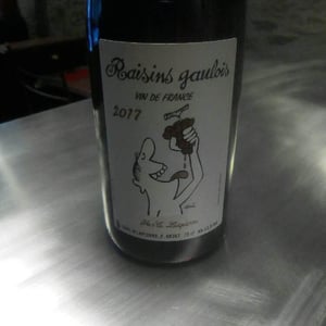 Domaine Marcel Lapierre - Mathieu & Camille Lapierre - Raisins Gaulois