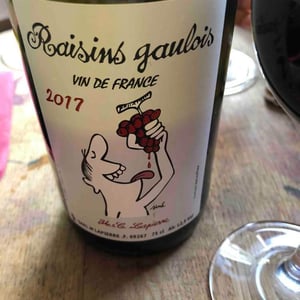 Domaine Marcel Lapierre - Mathieu & Camille Lapierre - Raisins Gaulois