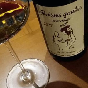 Domaine Marcel Lapierre - Mathieu & Camille Lapierre - Raisins Gaulois