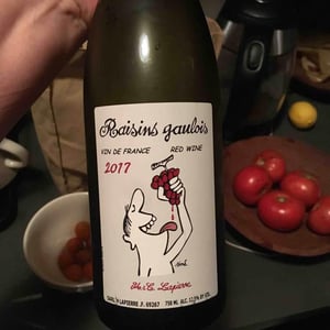 Domaine Marcel Lapierre - Mathieu & Camille Lapierre - Raisins Gaulois
