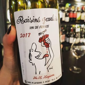 Domaine Marcel Lapierre - Mathieu & Camille Lapierre - Raisins Gaulois