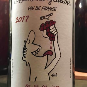 Domaine Marcel Lapierre - Mathieu & Camille Lapierre - Raisins Gaulois