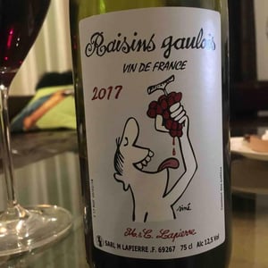 Domaine Marcel Lapierre - Mathieu & Camille Lapierre - Raisins Gaulois
