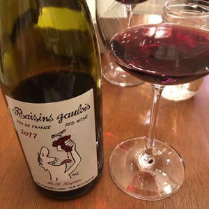 Domaine Marcel Lapierre - Mathieu & Camille Lapierre - Raisins Gaulois