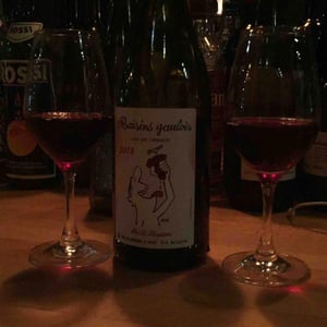 Domaine Marcel Lapierre - Mathieu & Camille Lapierre - Raisins Gaulois