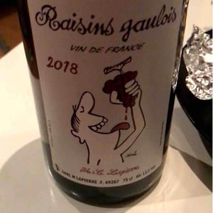 Domaine Marcel Lapierre - Mathieu & Camille Lapierre - Raisins Gaulois