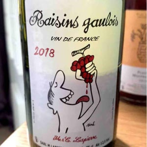 Domaine Marcel Lapierre - Mathieu & Camille Lapierre - Raisins Gaulois