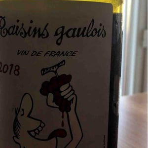 Domaine Marcel Lapierre - Mathieu & Camille Lapierre - Raisins Gaulois