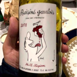 Domaine Marcel Lapierre - Mathieu & Camille Lapierre - Raisins Gaulois