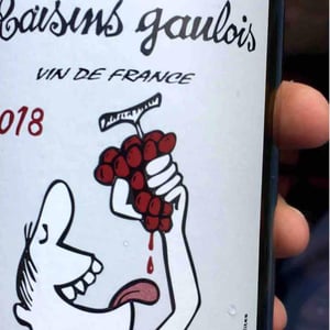 Domaine Marcel Lapierre - Mathieu & Camille Lapierre - Raisins Gaulois