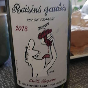 Domaine Marcel Lapierre - Mathieu & Camille Lapierre - Raisins Gaulois