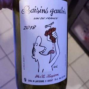 Domaine Marcel Lapierre - Mathieu & Camille Lapierre - Raisins Gaulois