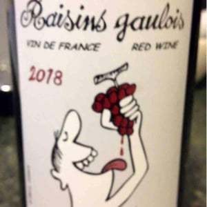 Domaine Marcel Lapierre - Mathieu & Camille Lapierre - Raisins Gaulois
