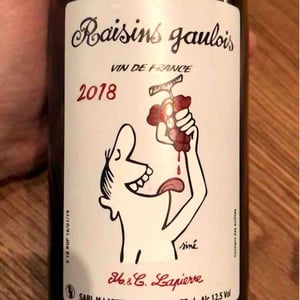 Domaine Marcel Lapierre - Mathieu & Camille Lapierre - Raisins Gaulois