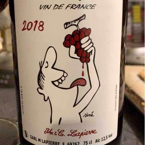 Domaine Marcel Lapierre - Mathieu & Camille Lapierre - Raisins Gaulois