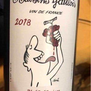 Domaine Marcel Lapierre - Mathieu & Camille Lapierre - Raisins Gaulois