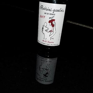 Domaine Marcel Lapierre - Mathieu & Camille Lapierre - Raisins Gaulois