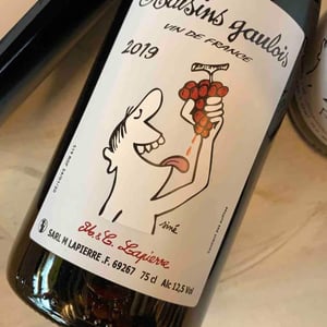 Domaine Marcel Lapierre - Mathieu & Camille Lapierre - Raisins Gaulois