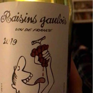 Domaine Marcel Lapierre - Mathieu & Camille Lapierre - Raisins Gaulois