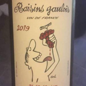 Domaine Marcel Lapierre - Mathieu & Camille Lapierre - Raisins Gaulois