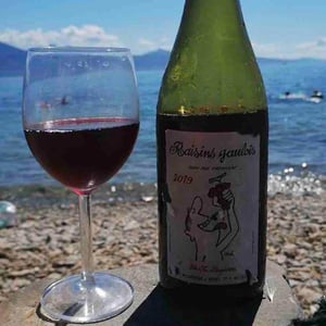 Domaine Marcel Lapierre - Mathieu & Camille Lapierre - Raisins Gaulois