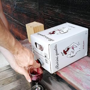 Domaine Marcel Lapierre - Mathieu & Camille Lapierre - Raisins Gaulois