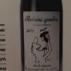 Domaine Marcel Lapierre - Mathieu & Camille Lapierre - Raisins Gaulois