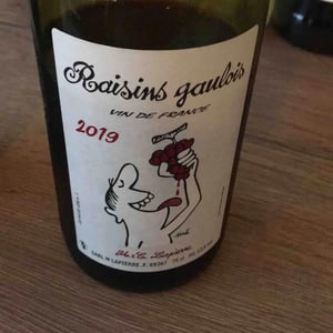 Domaine Marcel Lapierre - Mathieu & Camille Lapierre - Raisins Gaulois
