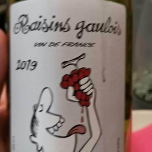 Domaine Marcel Lapierre - Mathieu & Camille Lapierre - Raisins Gaulois