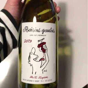 Domaine Marcel Lapierre - Mathieu & Camille Lapierre - Raisins Gaulois