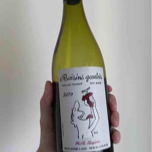 Domaine Marcel Lapierre - Mathieu & Camille Lapierre - Raisins Gaulois