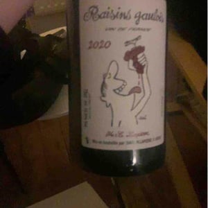 Domaine Marcel Lapierre - Mathieu & Camille Lapierre - Raisins Gaulois