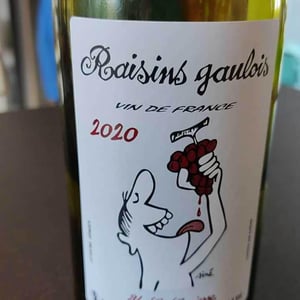 Domaine Marcel Lapierre - Mathieu & Camille Lapierre - Raisins Gaulois