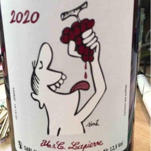 Raisins Gaulois - Domaine Marcel Lapierre - mathieu-camille-lapierre