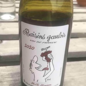 Domaine Marcel Lapierre - Mathieu & Camille Lapierre - Raisins Gaulois