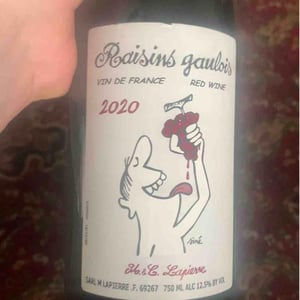 Domaine Marcel Lapierre - Mathieu & Camille Lapierre - Raisins Gaulois