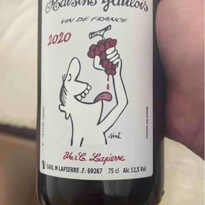 Domaine Marcel Lapierre - Mathieu & Camille Lapierre - Raisins Gaulois