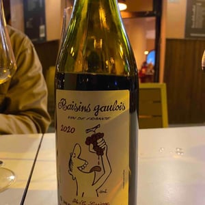 Domaine Marcel Lapierre - Mathieu & Camille Lapierre - Raisins Gaulois