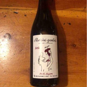 Raisins Gaulois - Domaine Marcel Lapierre - mathieu-camille-lapierre