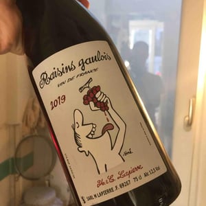 Domaine Marcel Lapierre - Mathieu & Camille Lapierre - Raisins Gaulois