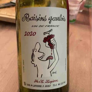 Domaine Marcel Lapierre - Mathieu & Camille Lapierre - Raisins Gaulois