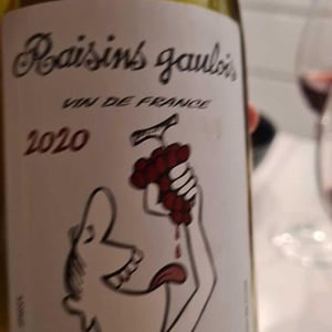 Domaine Marcel Lapierre - Mathieu & Camille Lapierre - Raisins Gaulois