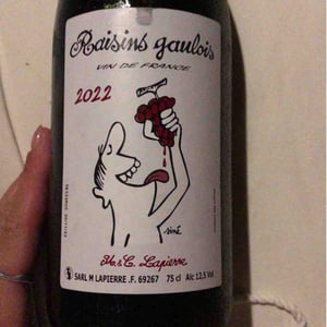 Domaine Marcel Lapierre - Mathieu & Camille Lapierre - Raisins Gaulois