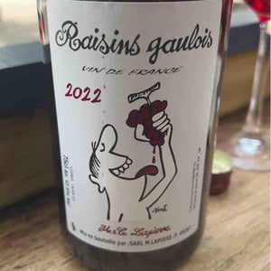 Domaine Marcel Lapierre - Mathieu & Camille Lapierre - Raisins Gaulois