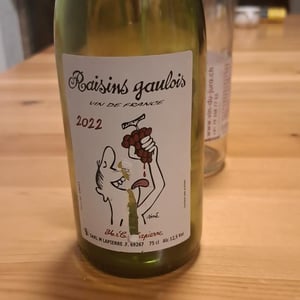 Domaine Marcel Lapierre - Mathieu & Camille Lapierre - Raisins Gaulois